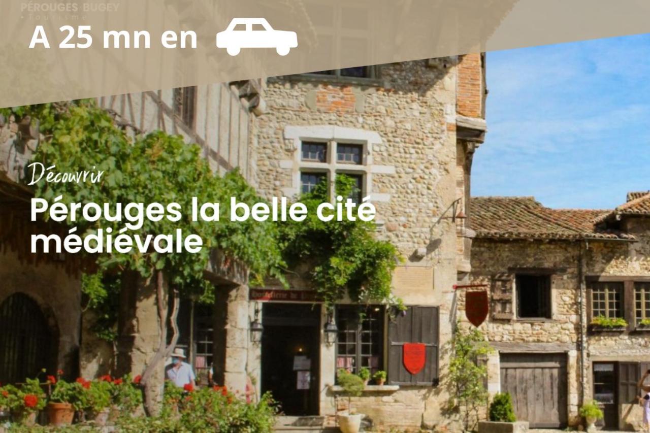L'Emeraude - 1 A 4P - Wifi Fibre - Parking Gratuit Pont-dʼAin Exteriör bild