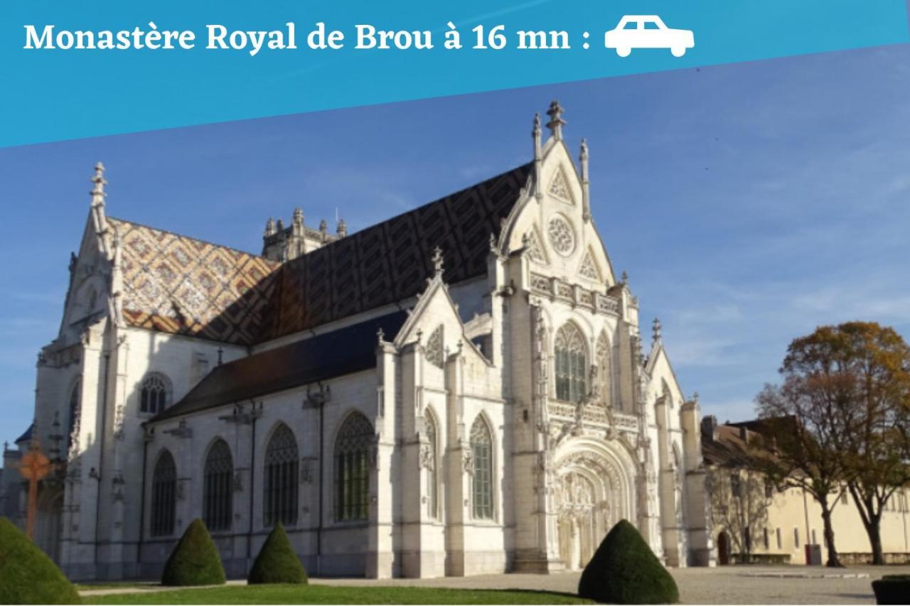 L'Emeraude - 1 A 4P - Wifi Fibre - Parking Gratuit Pont-dʼAin Exteriör bild