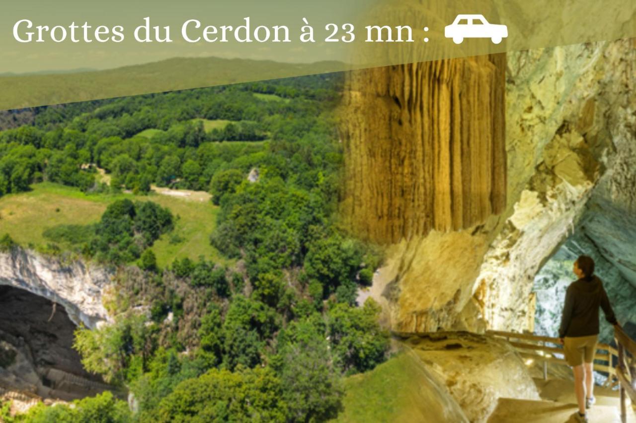 L'Emeraude - 1 A 4P - Wifi Fibre - Parking Gratuit Pont-dʼAin Exteriör bild