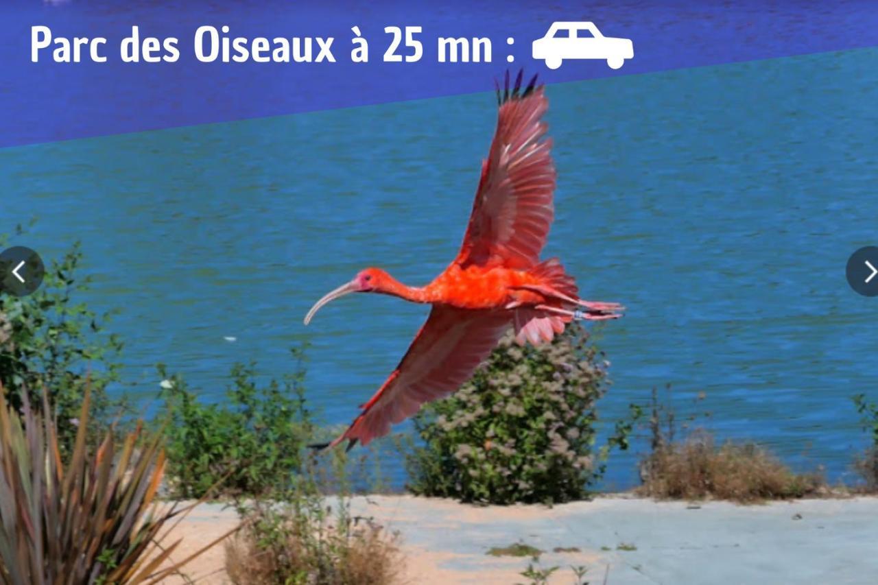L'Emeraude - 1 A 4P - Wifi Fibre - Parking Gratuit Pont-dʼAin Exteriör bild